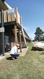 c5c08b_a997db5d04484791b44765f43c4393da