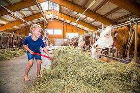 20200807_MotzenhofAussen2_287_klein.jpg