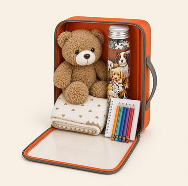 05-sac-module-junior-hd.jpg