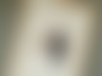 【訂製婚禮肖像畫】最美的回憶用畫筆記錄下來,除了照片另一種留念的方式!