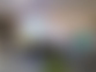 Prefeitura e Del-Turismo realizam Análise situacional do turismo no Município de Epitaciolândia