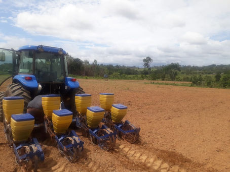 Agro – Prefeitura amplia produção com mecanização de terras em Epitaciolândia