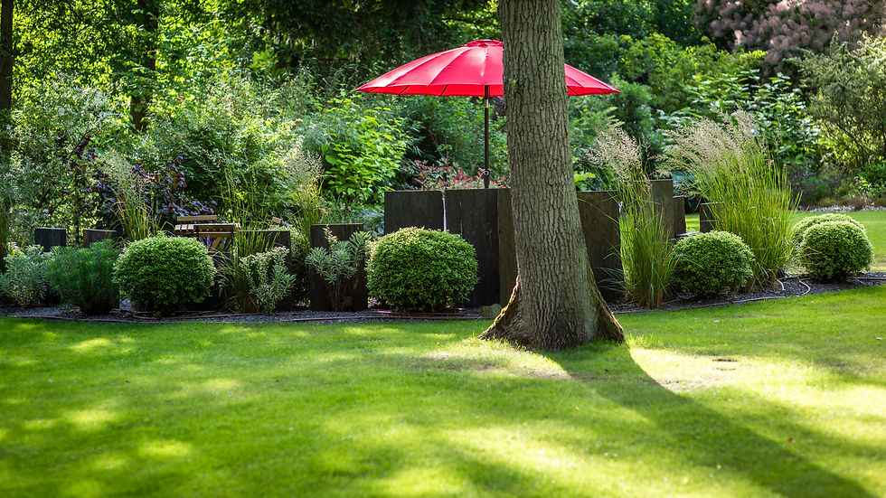 Creation Jardin paysager LE JARDIN HORS DU TEMPS-Patricia COUQUE