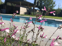 Le_jardin_hors_du_temps_création_aménage