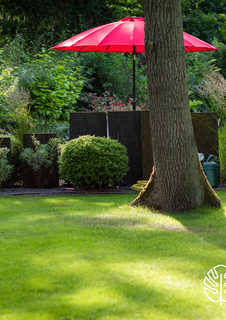 En Do Mineur – jardin d’auteur, composition végétale expressive