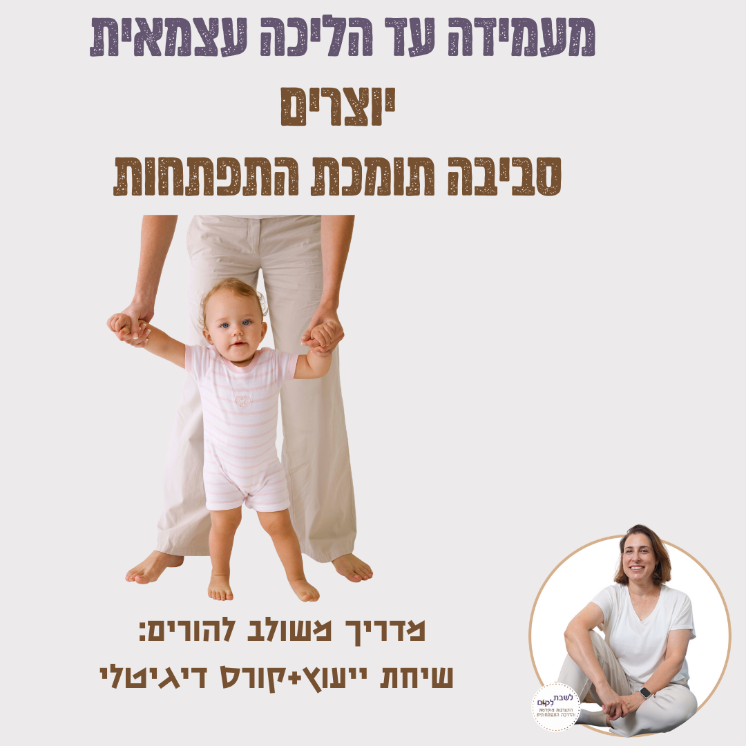 המדריך המשולב מעמידה להליכה