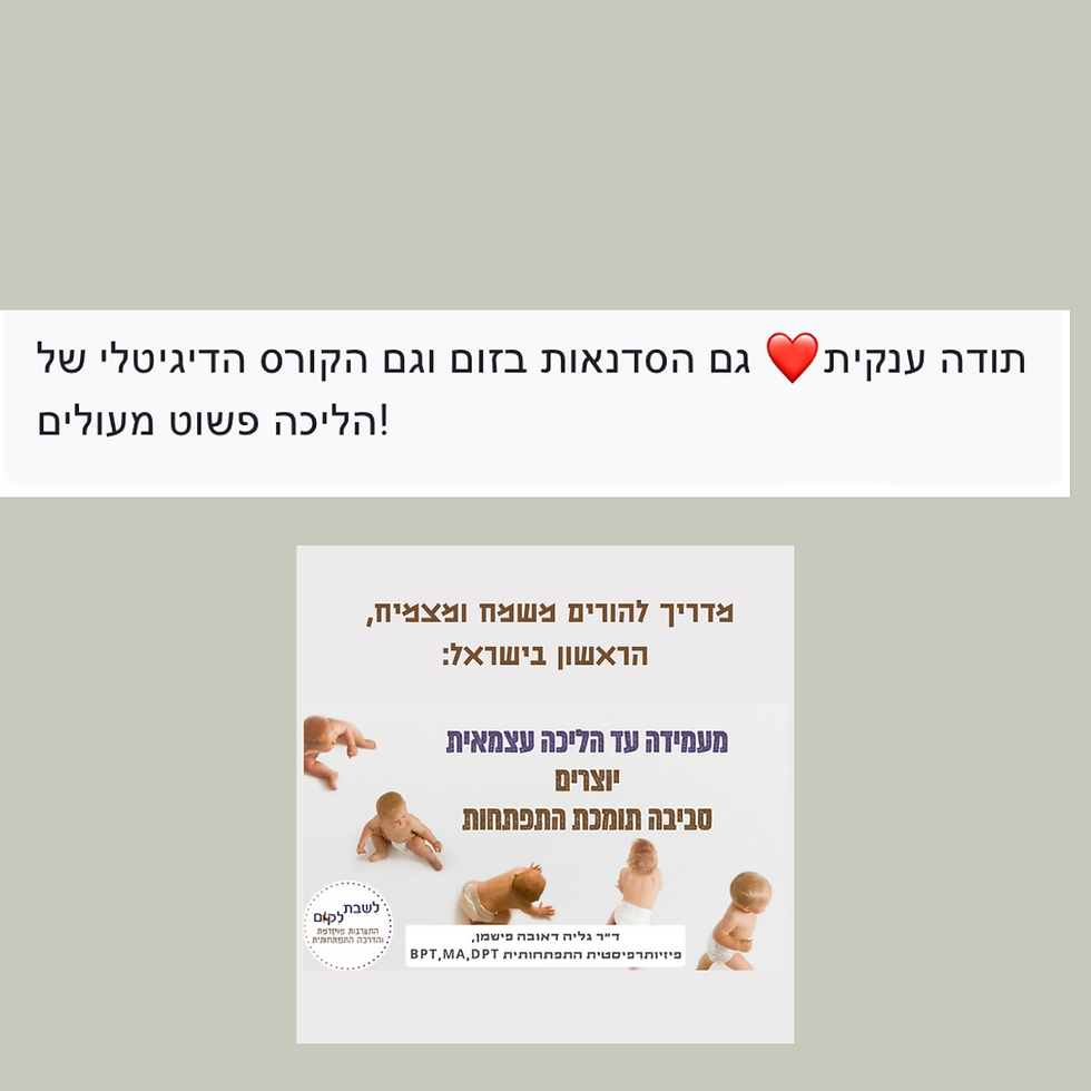 תמונה ממוזערת: המדריך המשולב מעמידה להליכה