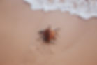Diapason et acupuncture