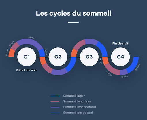 Schéma des cycles du sommeil : sommeil léger, sommeil lent profond et sommeil paradoxal, répétés 3 à 5 fois par nuit