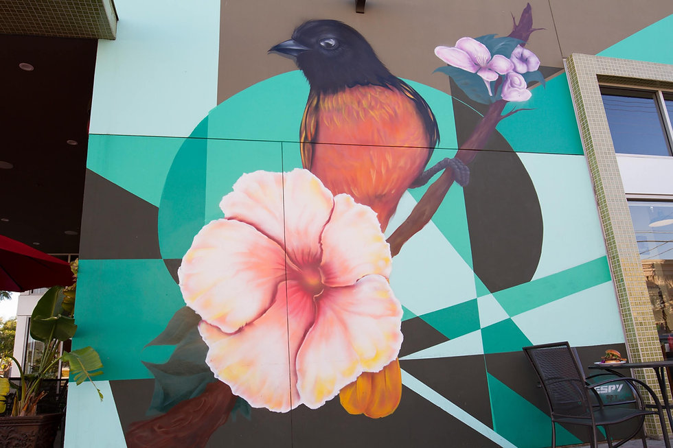 Home Bird's Nest Cafe