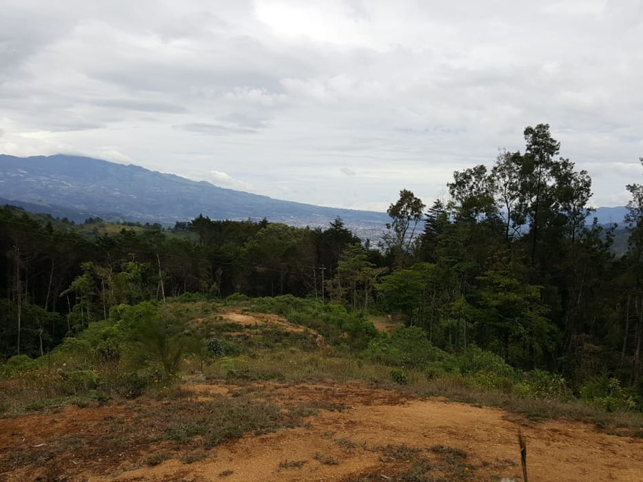 6.6 hectare farm in Cartago with vehicular roads and spectacular views, ideal for developing ecotourism projects and building houses.