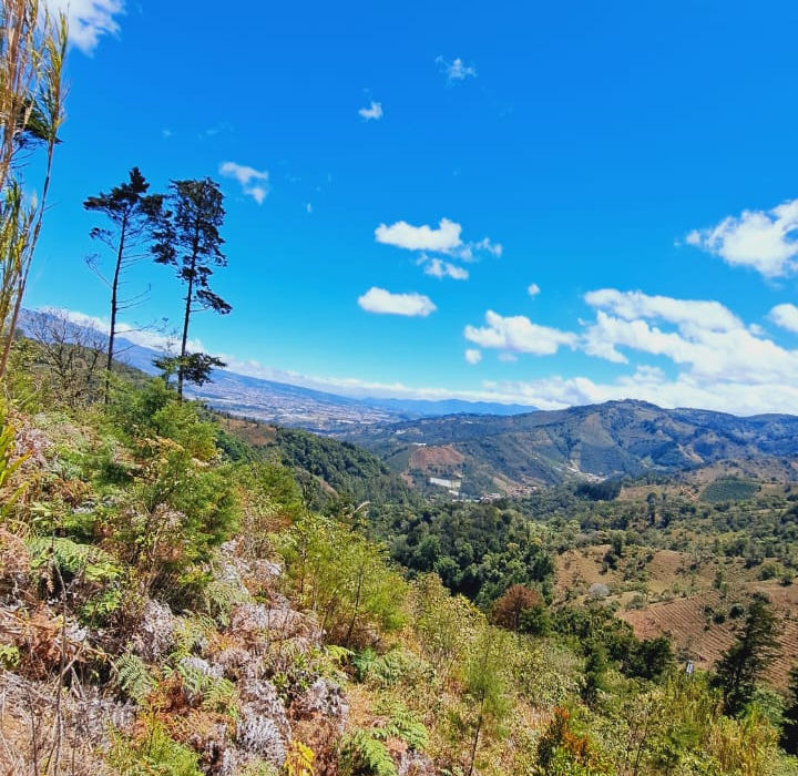 14.4 hectare farm in Cartago with two houses, lake and trails, perfect for ecotourism and outdoor activities.