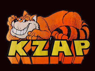 The KZAP Cat