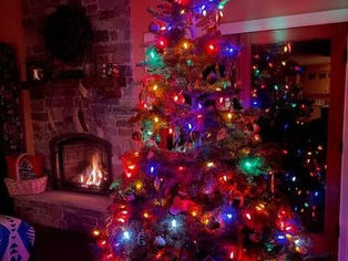 Noël 2022 - Gifts from This Writer