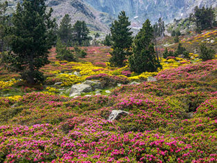 Break it to Me Gently