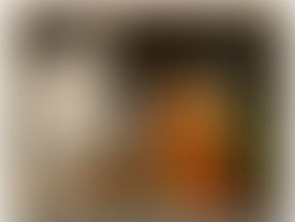 February 2017 - Shopping the Classics