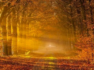 Victor Hugo - Les Feuilles d’automne