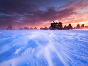 Love Me With All Your Heart