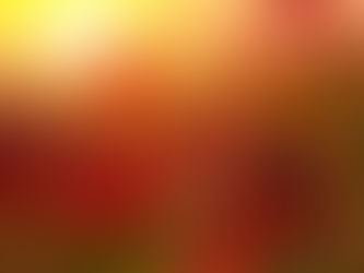 Let Not Your Heart Be Troubled