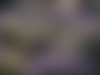 Unlock Your Potential with Mediumship Hubs at Eternal Spirit