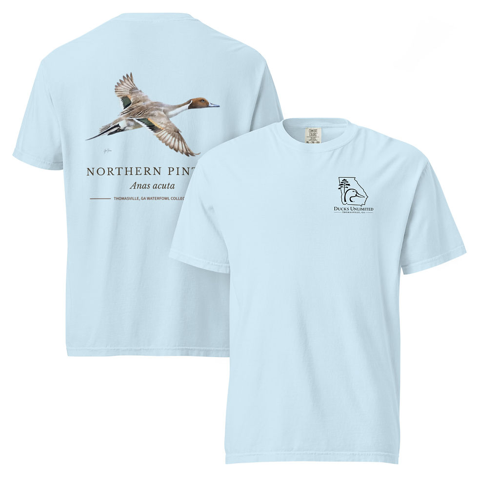 Thumbnail: NORTHERN PINTAIL - TVLGA WATERFOWL COLLECTION T-SHIRT