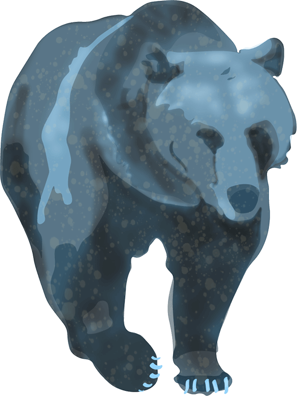 illustration of a bear