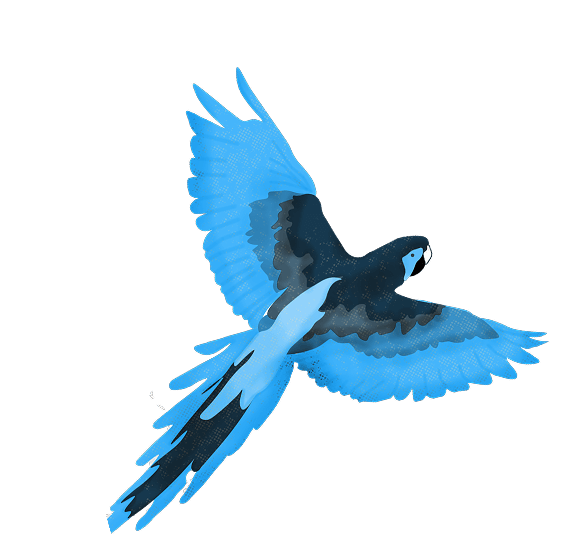 ilustration of an eagle