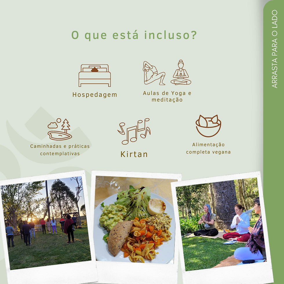Miniatura: PROGRAMA VIDA NO ASHRAM