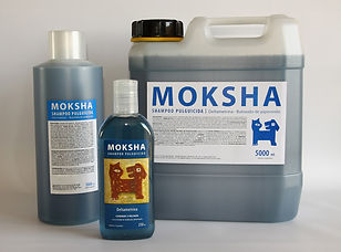 Moksha03.jpg