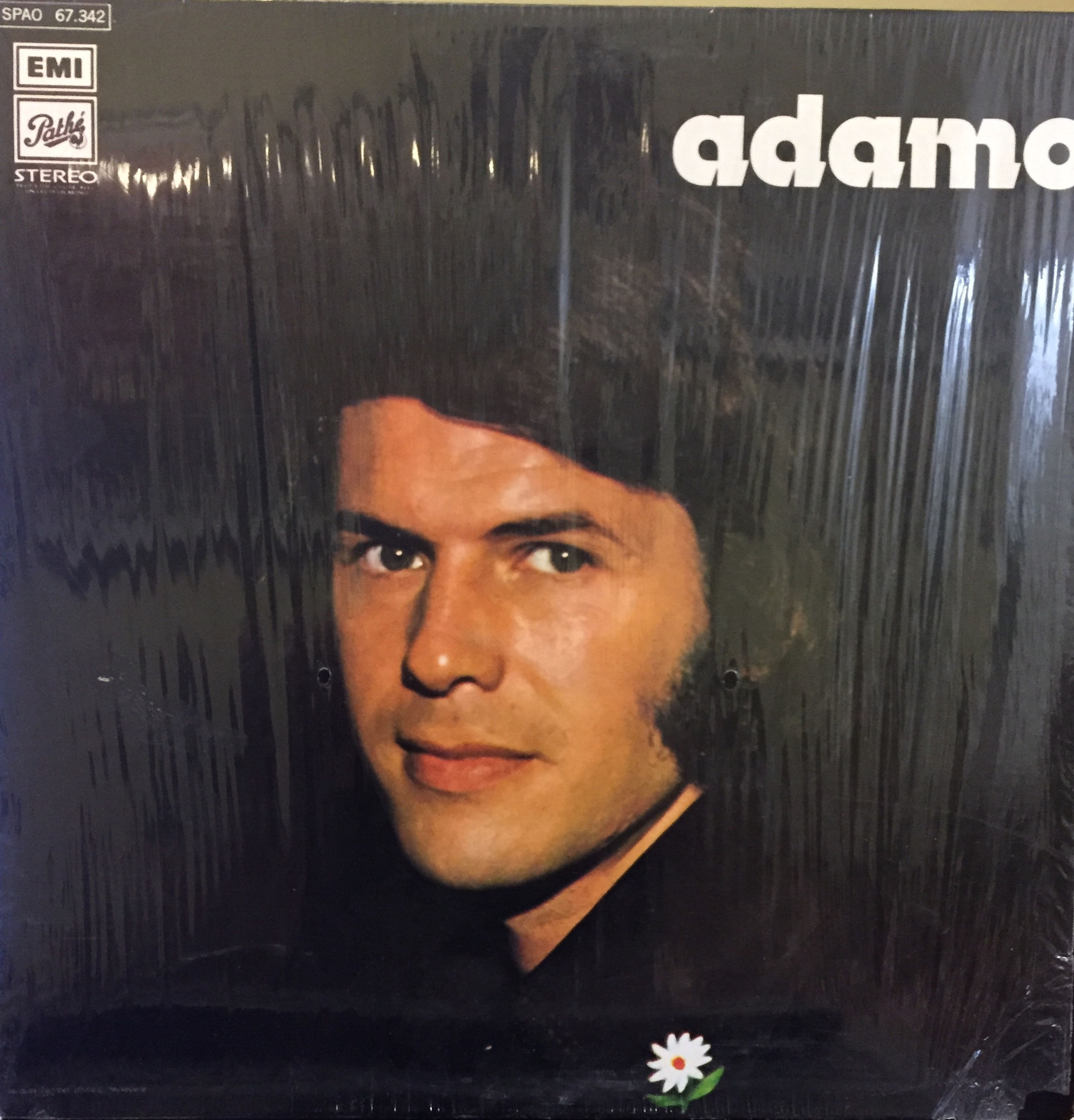 Adamo