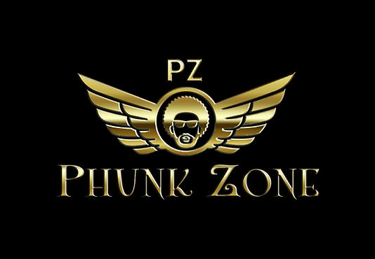 PZ coin wings