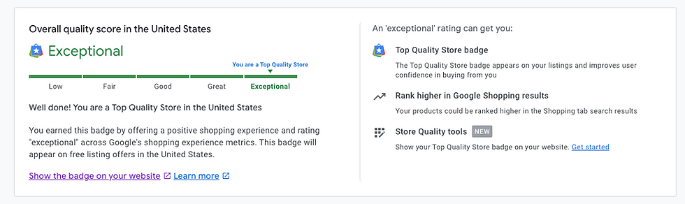image of google's site quality score report showing an Exceptional rating.