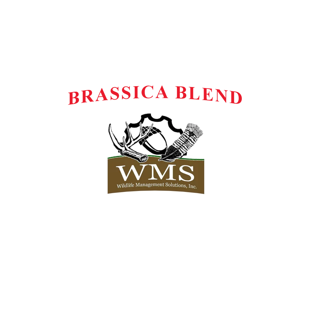 WMS Brassica Blend