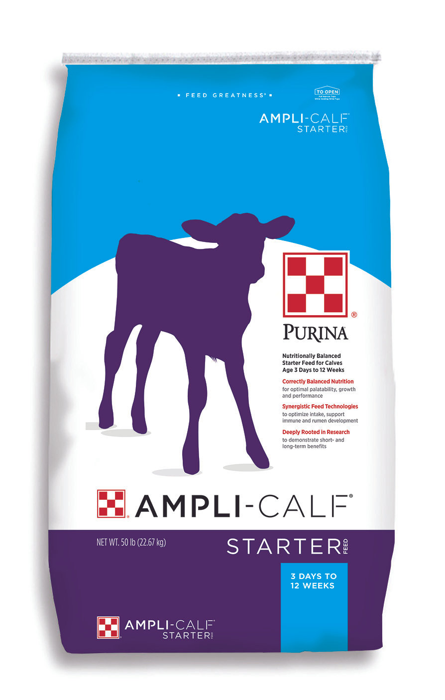 Ampli Calf Starter ampli-calf-starter