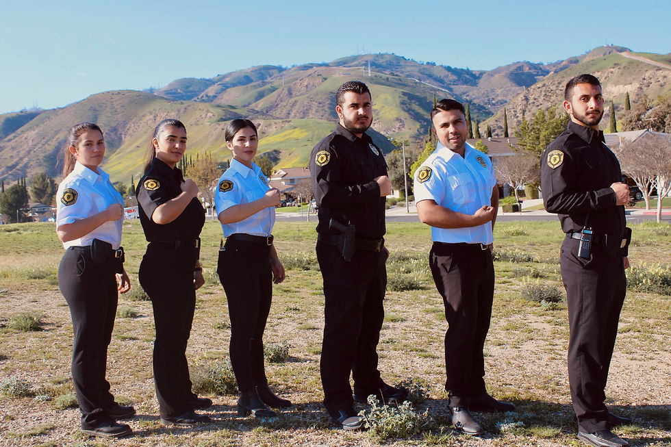 Security guard services