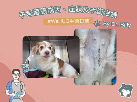 子宮蓄膿成因、症狀及手術治療 — By Dr. Billy