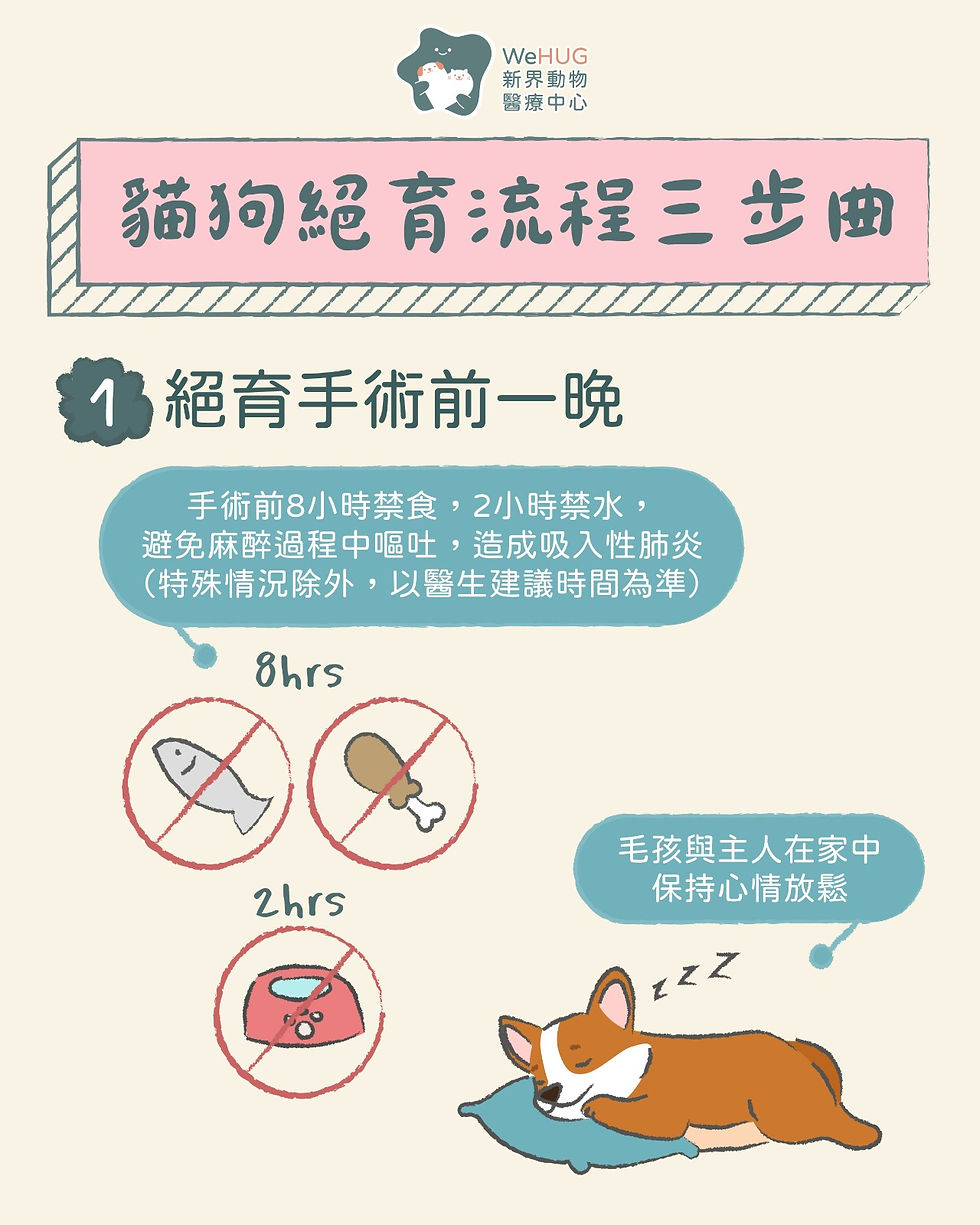 【貓狗絕育FAQ】絕育流程三步曲
