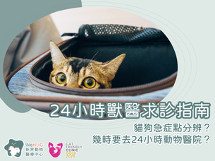 24小時獸醫求診指南:貓狗急症點分辨?幾時要去24小時動物醫院?