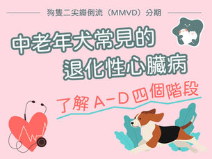 了解狗隻心臟病進程，可及早介入治療