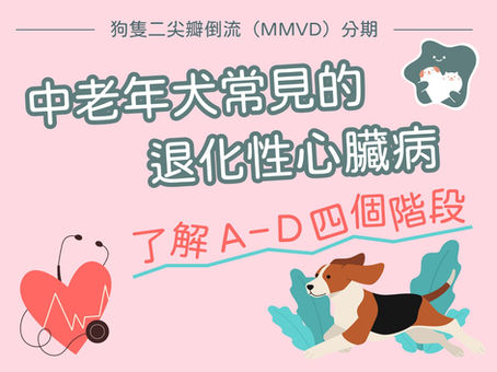 了解狗隻心臟病進程，可及早介入治療