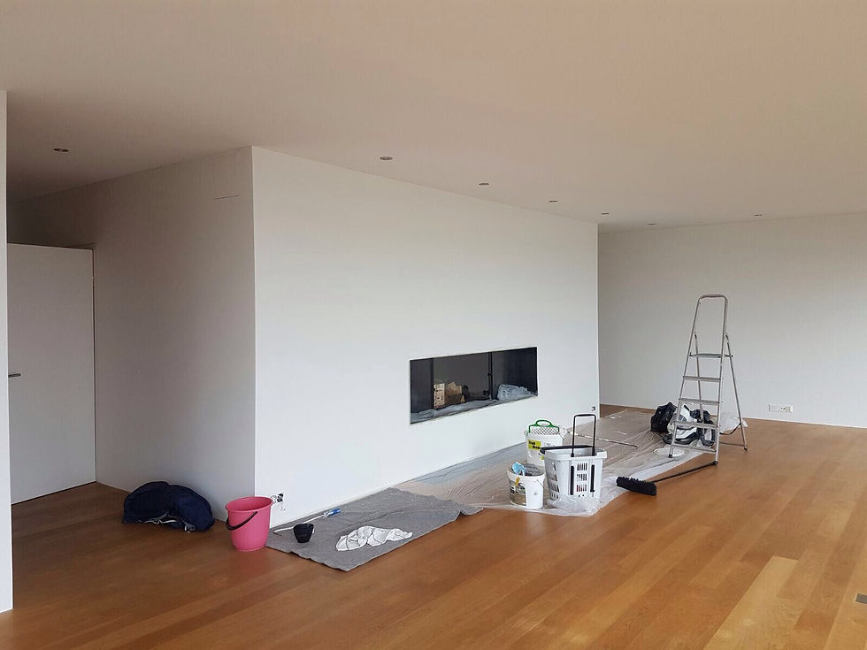 Painting ,Renovation & Repair Zürich