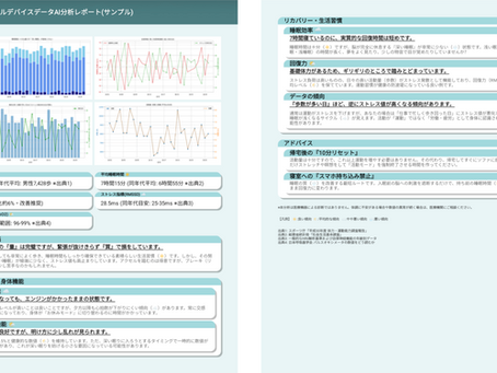 FITINSIGHT_Geminiレポートサンプル