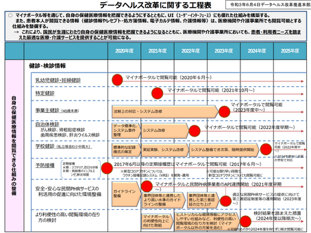 厚労省のデータヘルス改革とHL7 FHIR