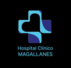 hospital punta arenas