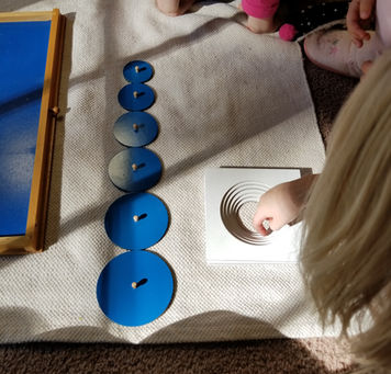 What does it mean to take in the world around you through your senses?