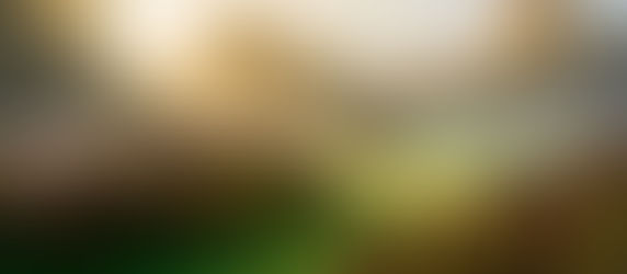 Autumn garden landscape with sunlight and morning mist, featuring ornamental grasses and golden trees, part of the Luxury Gardens seasonal design collection.