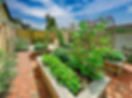 A beautifully designed small courtyard garden featuring oak raised beds filled with lush vegetable plants. Climbing sweet peas and beans grow over rustic garden arches adding vertical interest. The garden is paved with traditional clay cottage pavers, creating a warm and textured surface. Surrounded by elegant wooden fencing and a backdrop of rich colourful planting. The small luxury garden also includes a painted timber shed and ornamental planting, blending functionality with refined outdoor living.