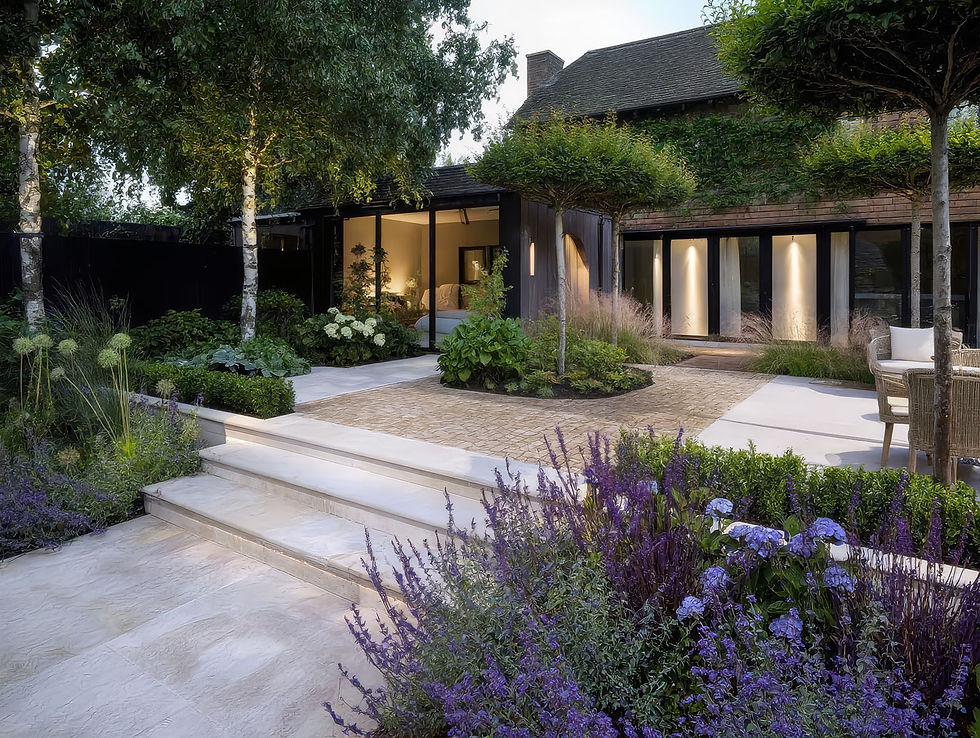 Classical contemporary garden with wide limestone steps leading to a raised clay paver terrace, framed by layered planting, birch trees, and a modern garden room with warm architectural lighting