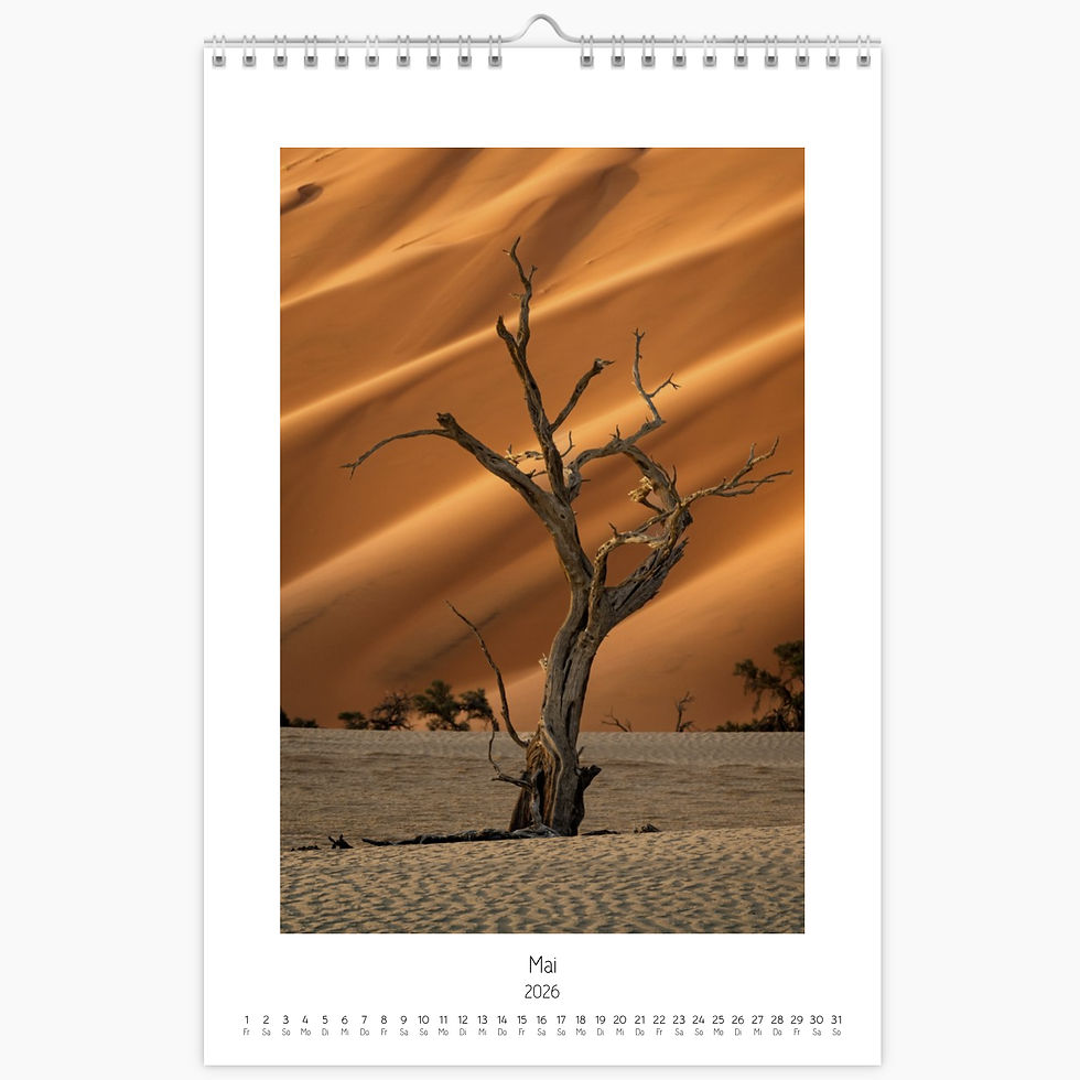 Miniaturbild: Fotokalender 2026 - Between Light & Silence