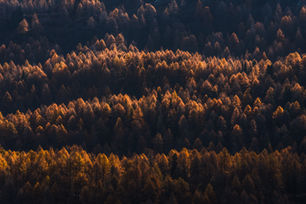 Landschaft & Destinationen